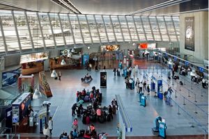 کشف یک چمدان مشکوک نظم فرودگاه نیس را برهم زد