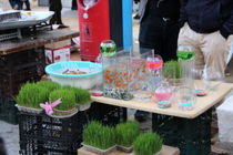 هیاهوی خرید عید در بازار ایلام به روایت تصویر