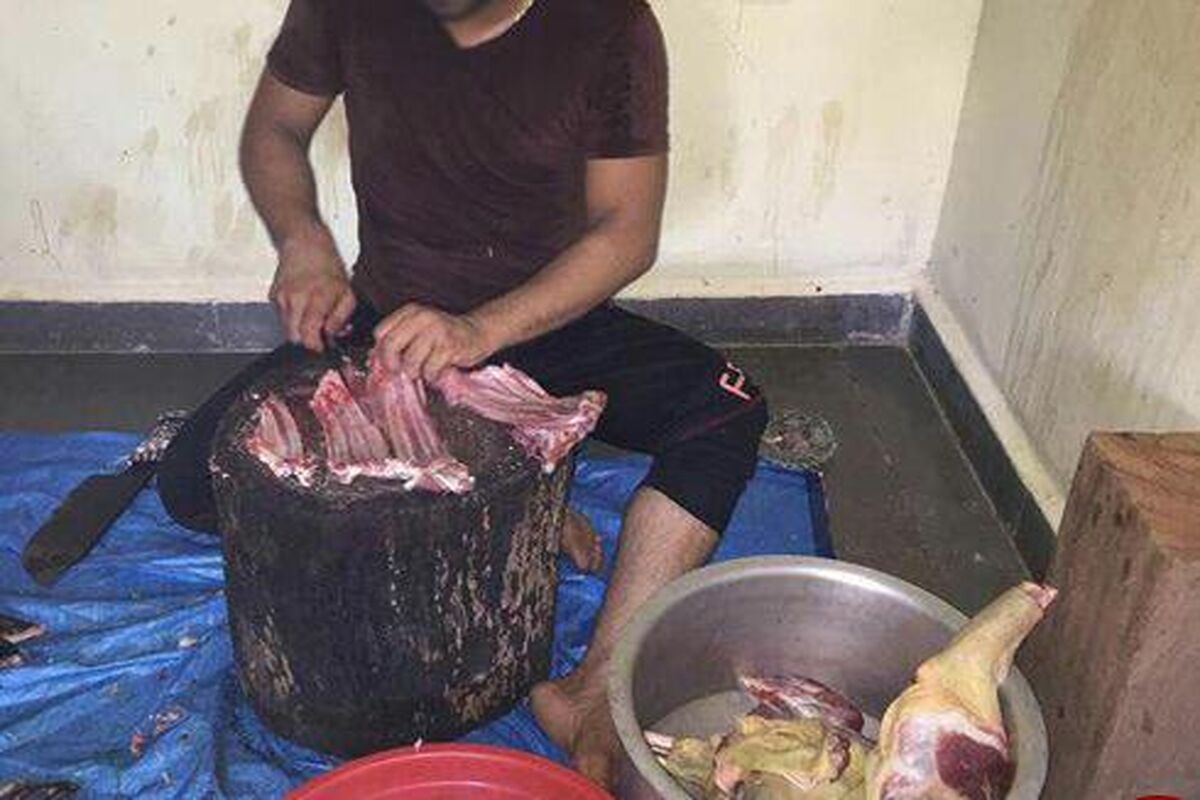استفاده از گوشت سگ