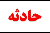 خودروی سواری جان کارگر فضای سبز را گرفت