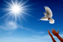 اهدای مبلغ ۳۵۰ میلیون ریال توسط خیر ایلامی برای کمک به آزادی یک زندانی نیازمند