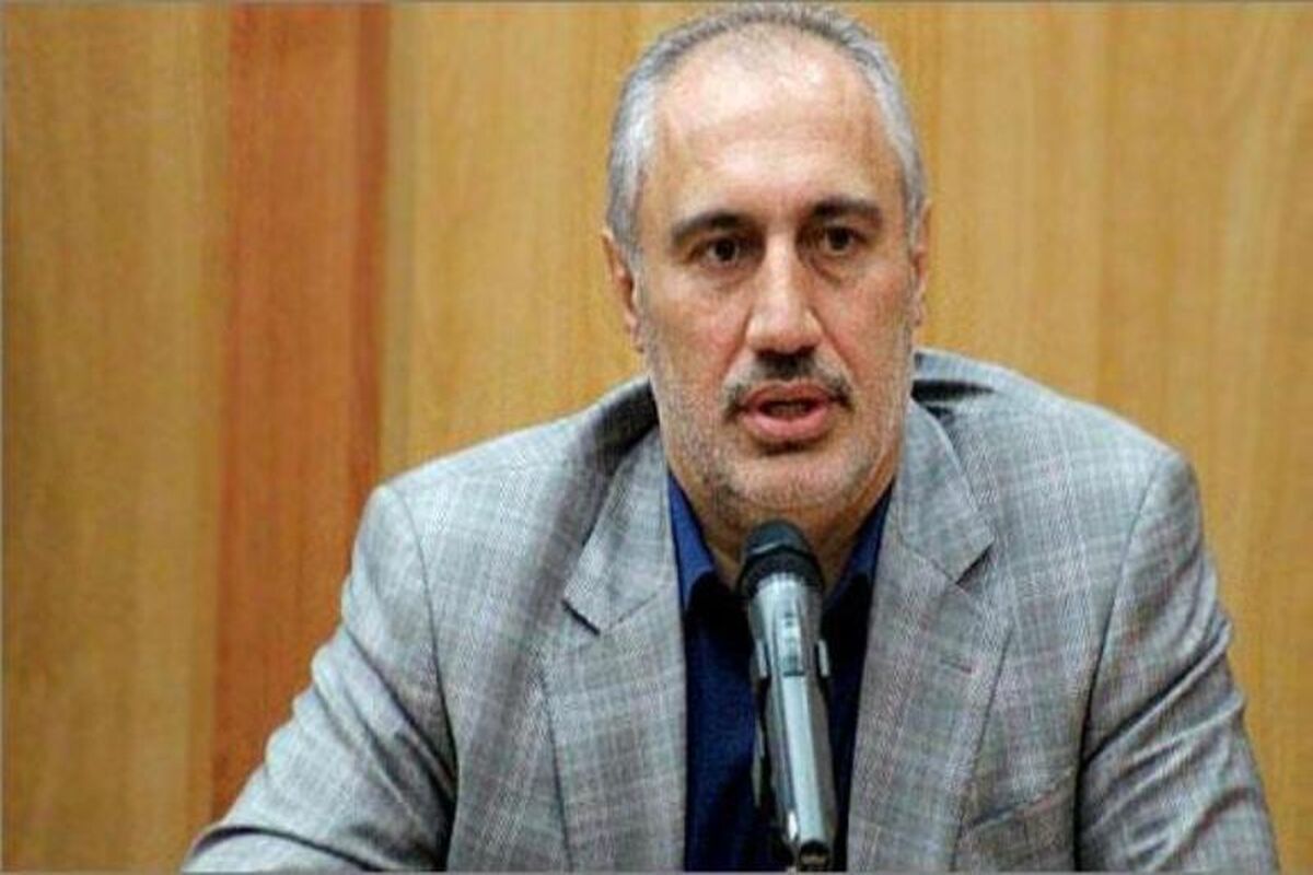 سیدحمید پورمحمدی معاون امور اقتصادی سازمان برنامه و بودجه