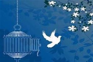 کمک بانوی یزدی به آزادی زندانیان در روز عرفه