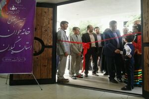 شبکه‌های کارآفرینی در کشور تقویت می‌شوند