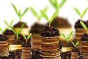 سقف وام های اشتغال ۵۰ میلیون تومان است