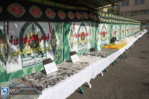 انهدام ۳۱ باند مواد مخدر در فارس 