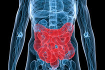 ورزش شدید سلامت روده‌ها را تهدید می‌کند