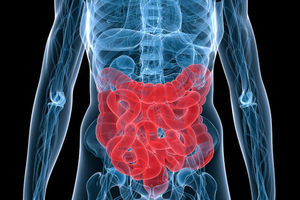 ورزش شدید سلامت روده‌ها را تهدید می‌کند