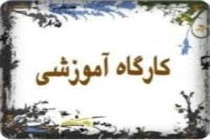 برگزاری کارگاه آموزشی  توسط اساتید  تعاون، کار و رفاه اجتماعی برای کارفرمایان استان کرمانشاه