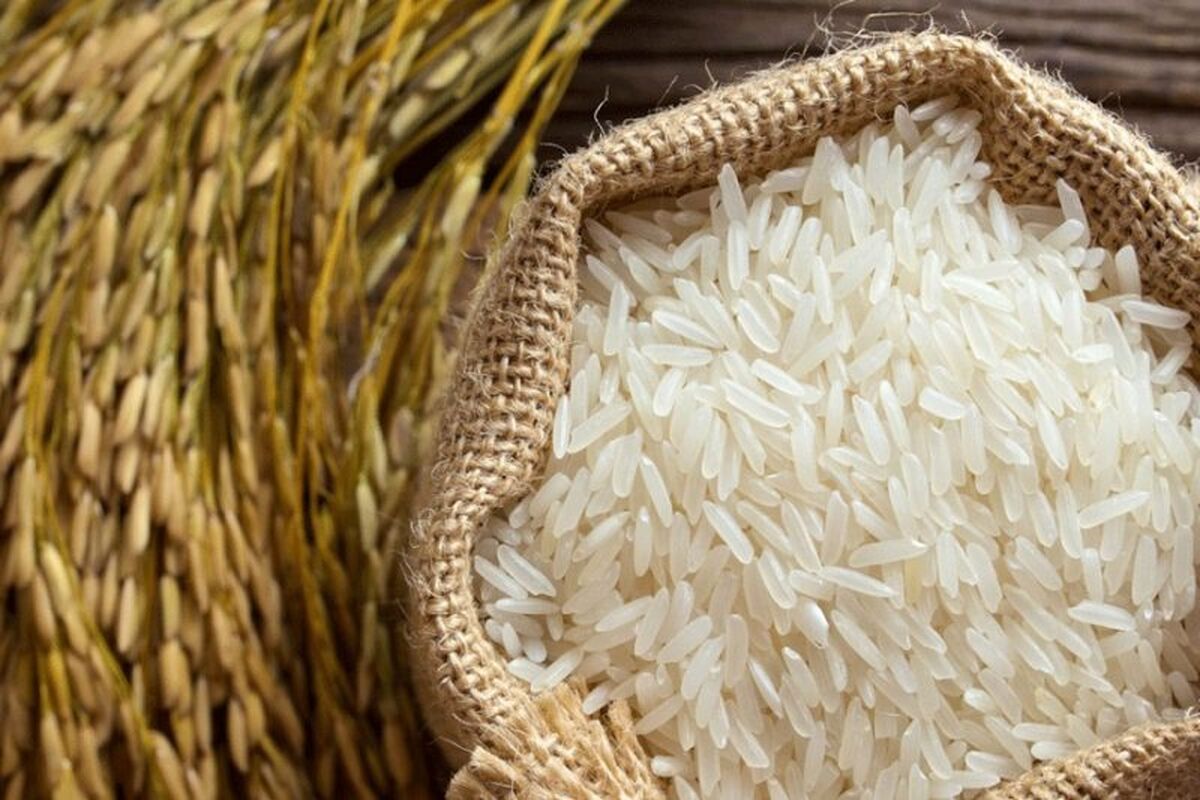 خرید حمایتی برنج
