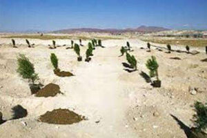  4136هکتار نهال‌کاری در استان اصفهان انجام می‌شود