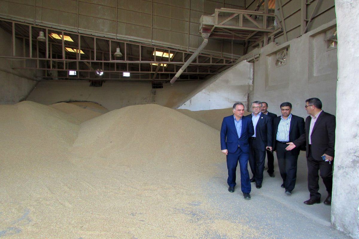 کارخانه ارد