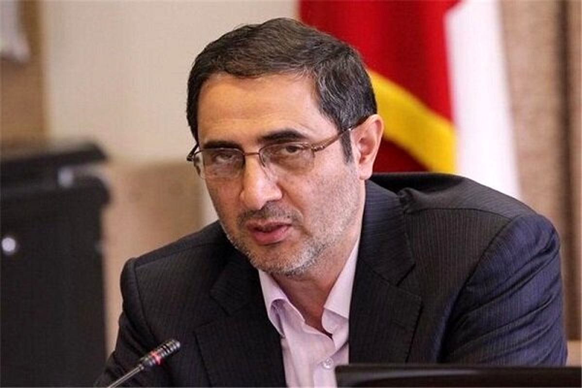 حسن امامی رضوی مشاور وزیر بهداشت و رئیس دبیرخانه شورای‌عالی سلامت و امنیت غذایی