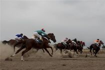 هفته هفتم کورس اسبدوانی تابستانه بندرترکمن برگزار شد