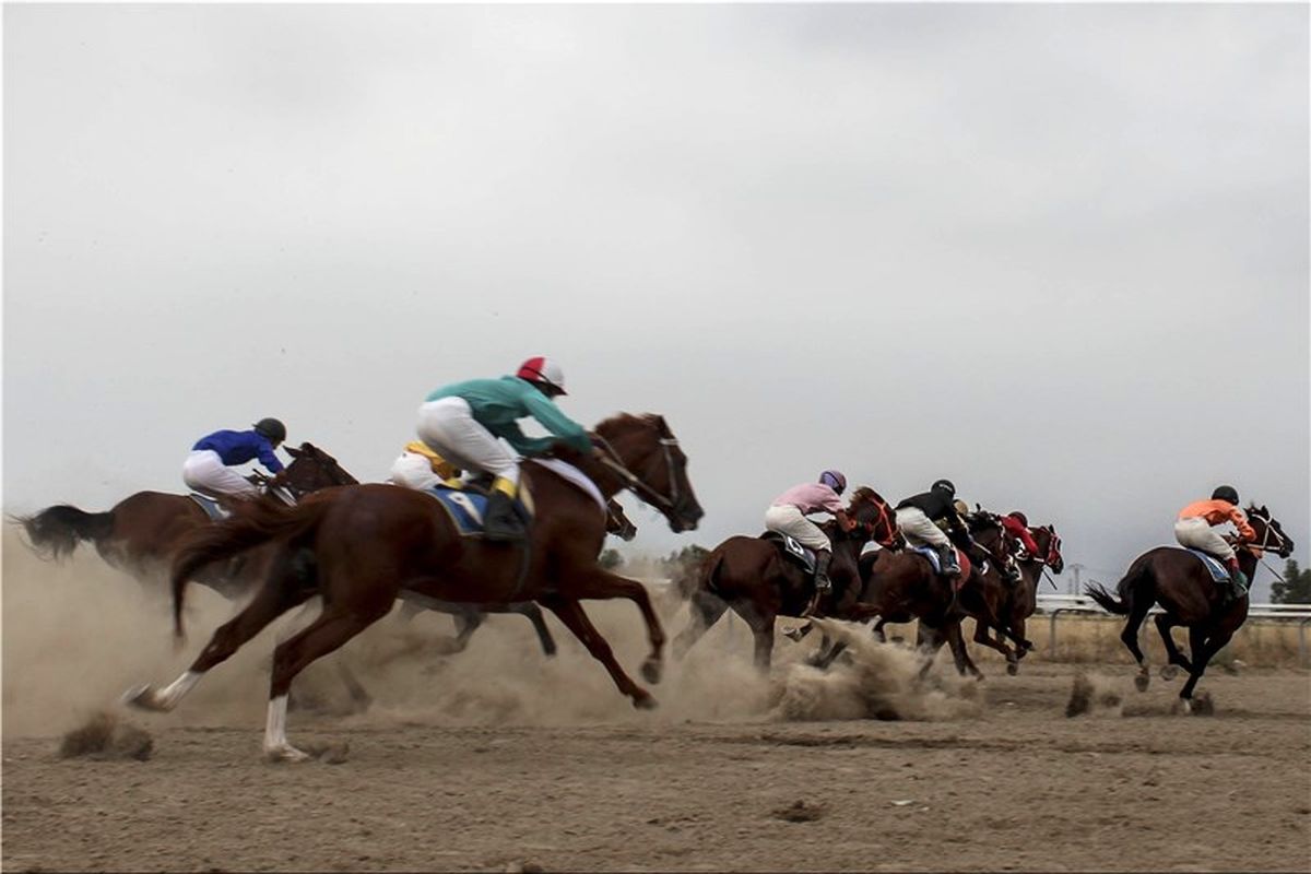 کورس اسبدوانی تابستانه بندرترکمن