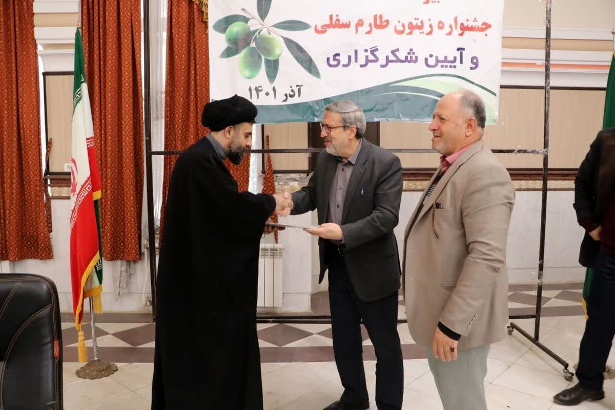 جشنواره زیتون