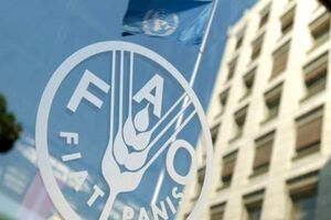 سازمان فائو چیست و ایران در تامین مواد غذایی جهان چه نقشی دارد؟