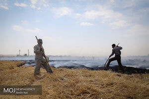 درآمدهای داغ - کشاورزی