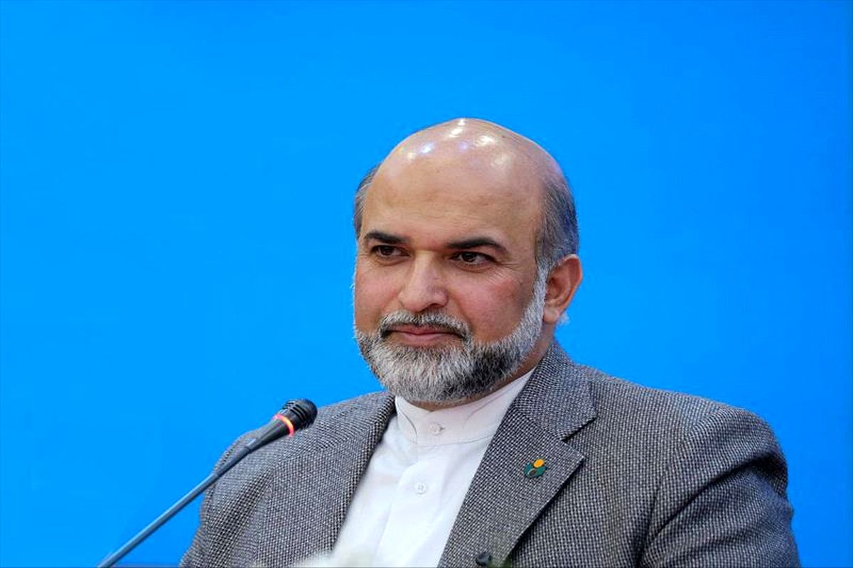 سیدمجید پوراحمدی مدیرعامل صندوق اعتباری هنر