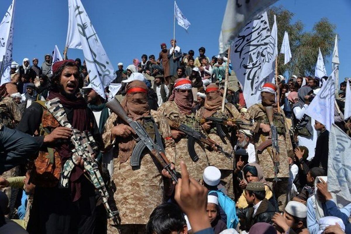طالبان