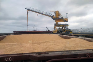 واردات و ترخیص نهاده‌های دامی در مازندران بدون وقفه ادامه دارد