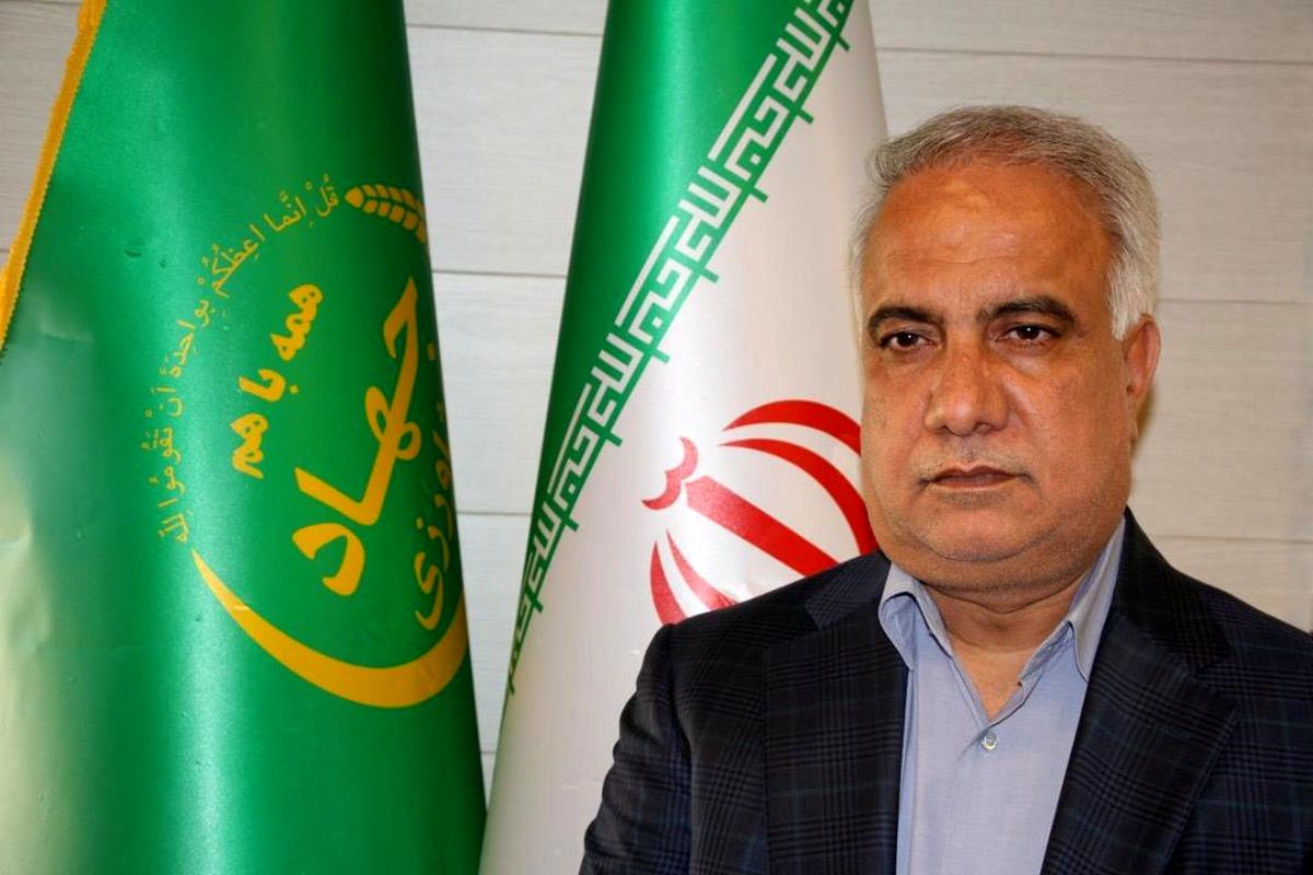 باقر زاده همایی