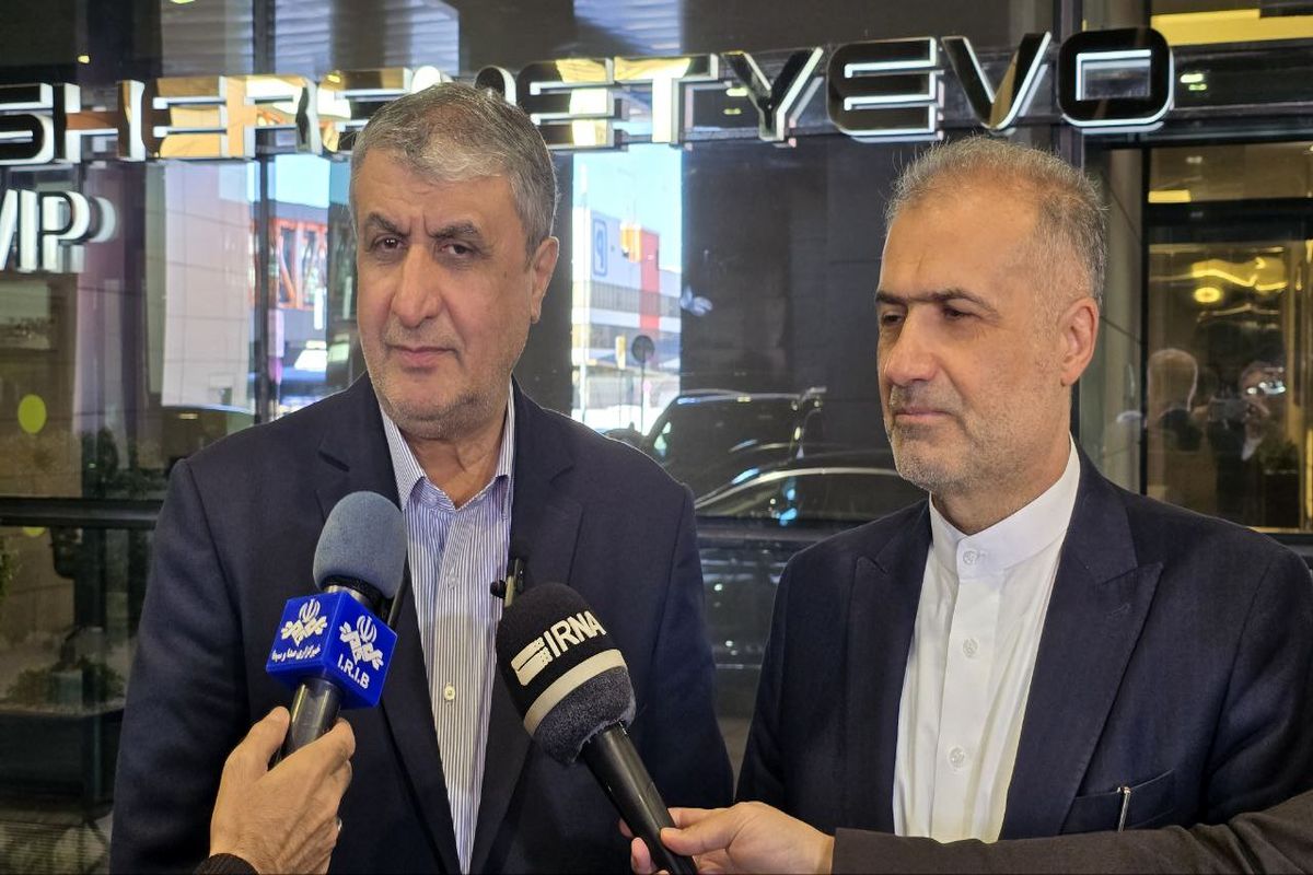 رئیس سازمان انرژی اتمی