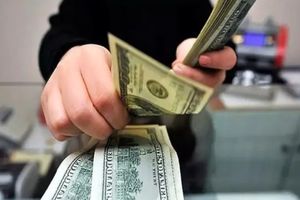 یک معمای عجیب ارزی پیش روی اقتصاد ایران