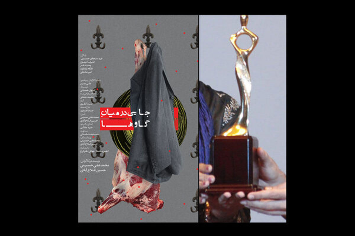 فیلم کوتاه جایی در میان گاوها