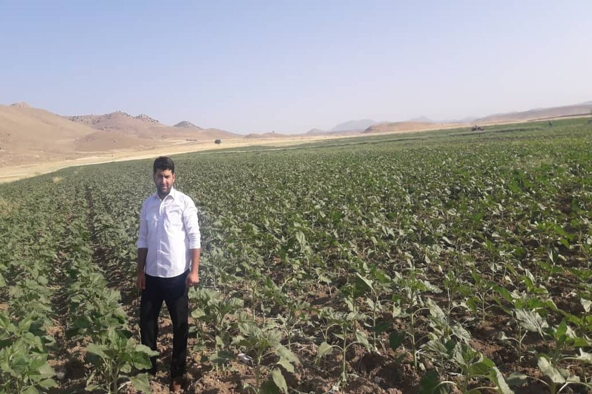 رهداری