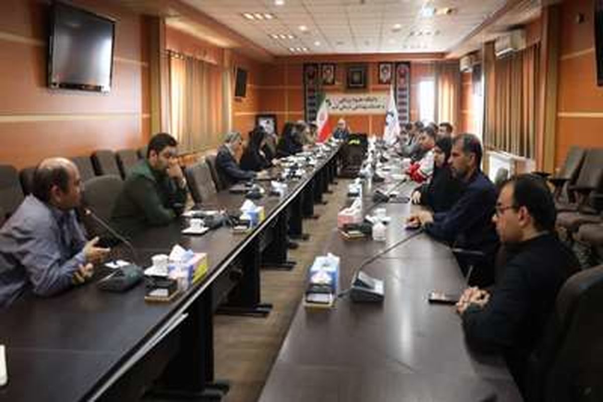 جلسه کمیته بهداشت و درمان ستاد اربعین