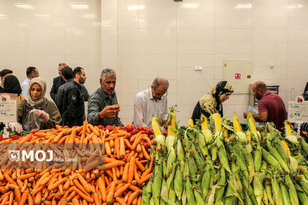 افزایش اقلام خرید با کالابرگ برگ