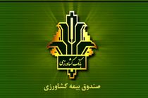 افزایش 140 درصدی غرامت پرداختی به کشاورزان خسارت دیده / جهش ۱۵۰ درصدی تعهدات بیمه گندم