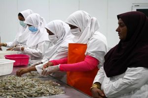 دو واحد فرآوری و بسته بندی آبزیان و سردخانه زیر صفر با اعتبار ۱۱۹۸ میلیارد ریال