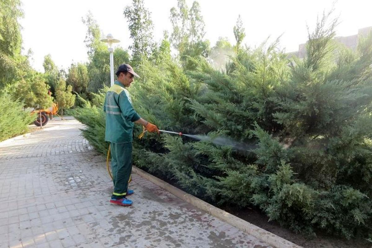 شهرداری قم