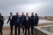 وزیر جهاد کشاورزی از پروژه آبیاری تحت فشار در دشتستان بازدید کرد