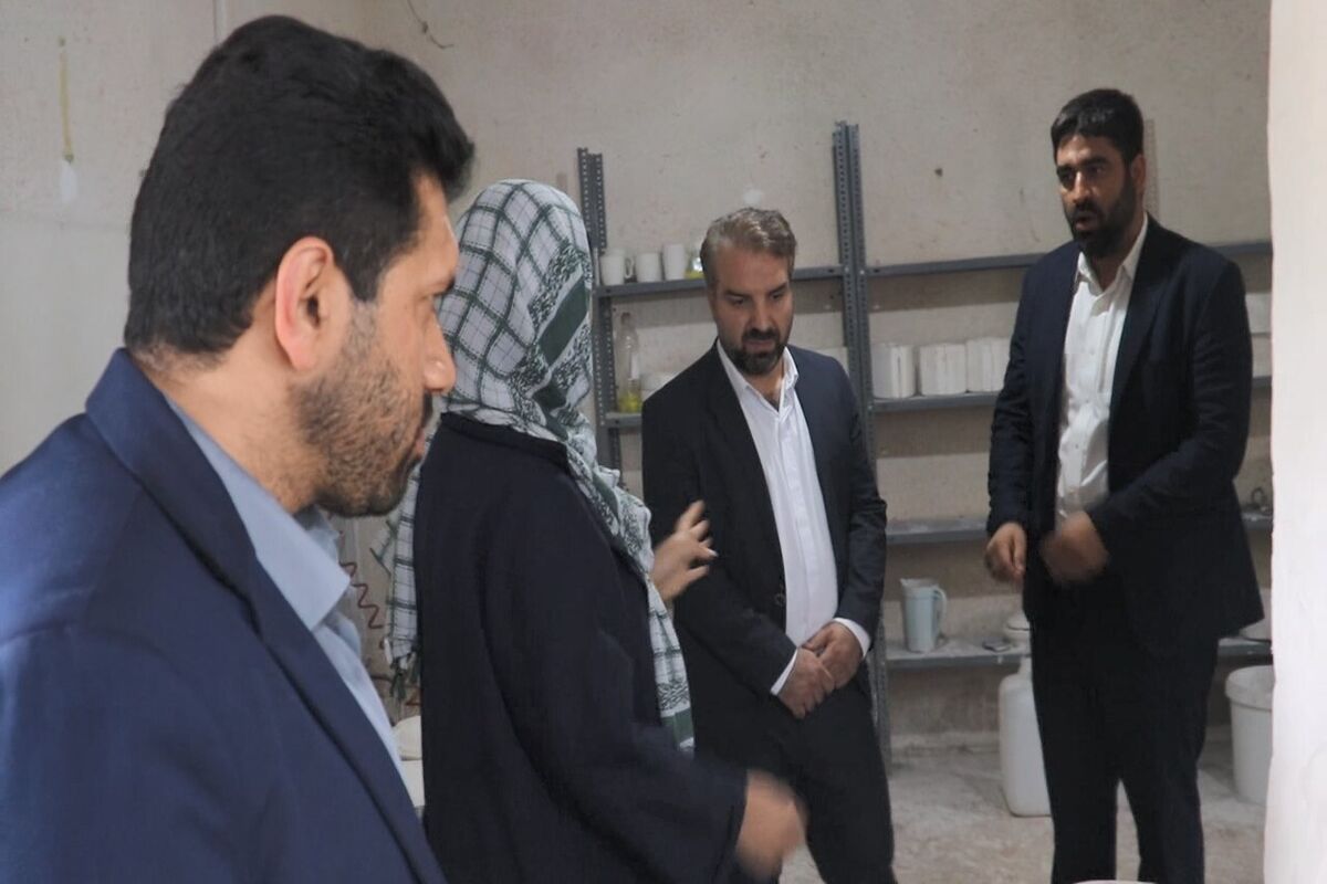 معاون توسعه اشتغال بنیاد برکت کشور