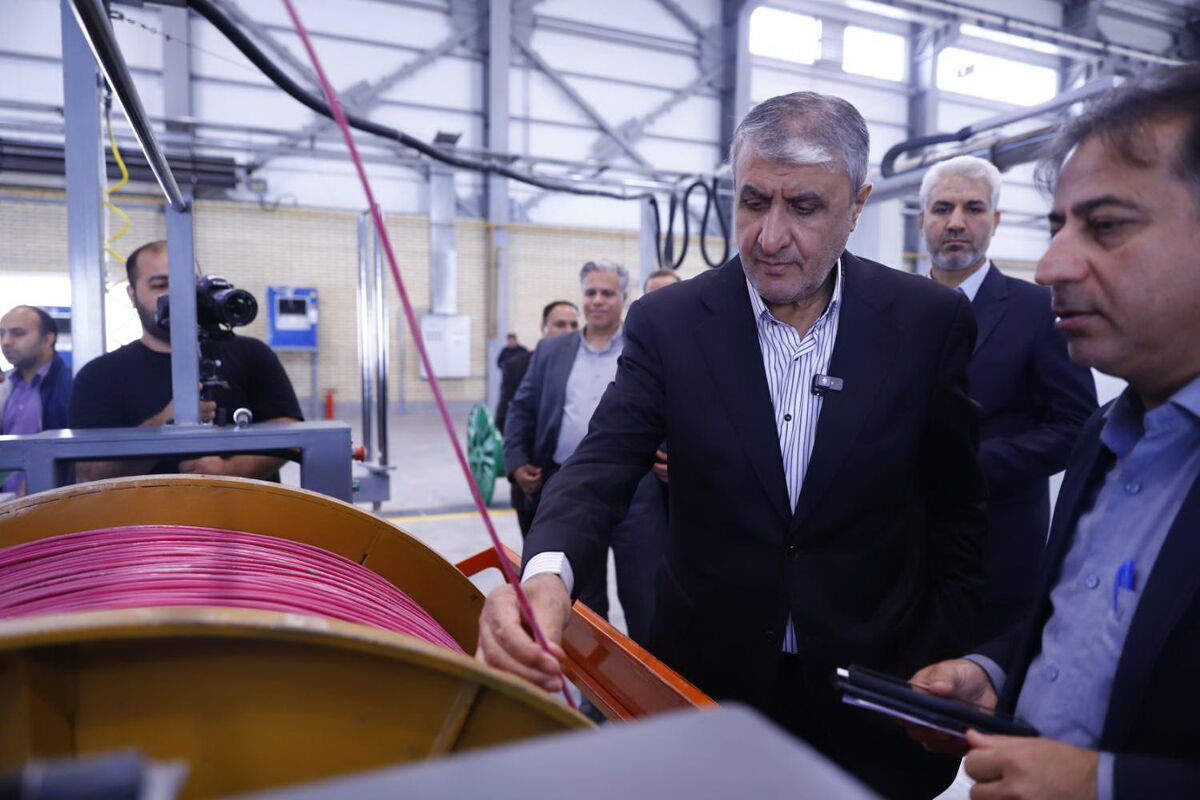 سازمان انرژی اتمی ایران