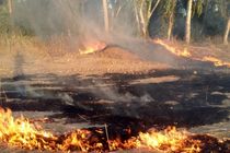 وقوع ۲۰ هزار حادثه کاری در سال