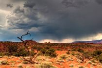 کاهش ۱۸ درصدی بارندگی در فلات مرکزی