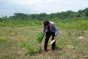 افتتاح 1000 هکتار طرح جنگل‌کاری برکتِ ستاد اجرایی فرمان حضرت امام(ره)