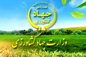 مجلس تحقیق و تفحص از وزارت کشاورزی را دستور کار قرار می‌دهد 