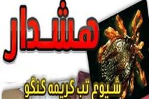هیچ موردی از بیماری "تب کریمه کنگو" در استان گلستان گزارش نشده است