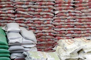 مردم نگران توزیع کالاهای اساسی نباشند