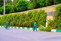 اقدامات شهرداری قم در راستای افزایش بهره‌وری منابع آبی در فضای سبز شهری