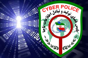 تاکید بر مشارکت سازمان ها برای پیشگیری از آسیب های فضای مجازی و کلاهبرداری های اینترنتی