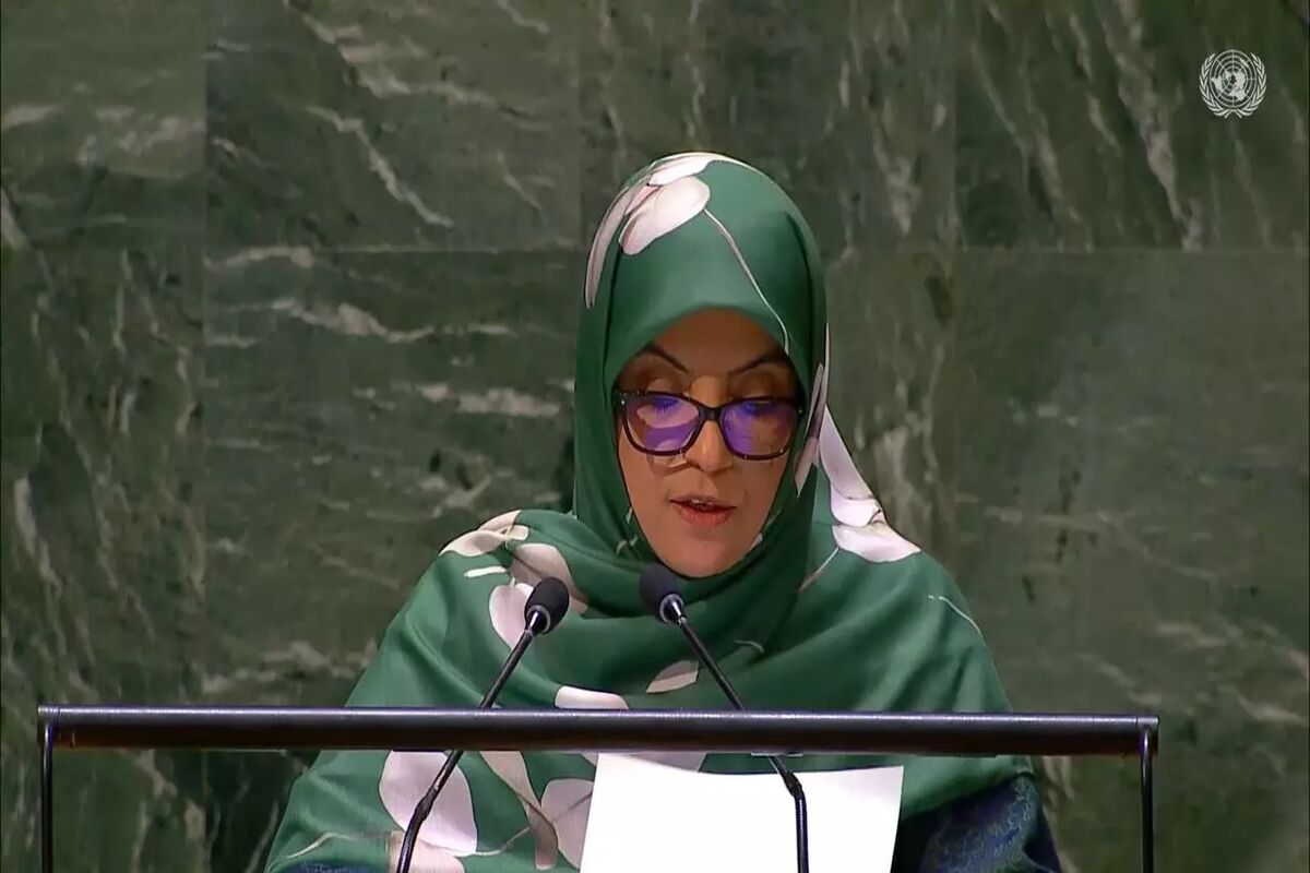 معاون نماینده ایران در سازمان ملل