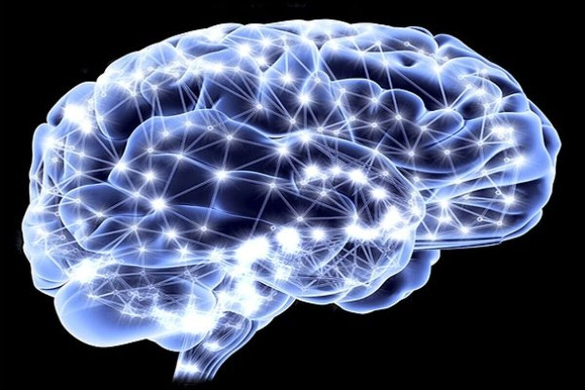 ty6NAsw01RNP