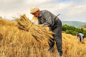 رشد بی‌سابقه اعتبارات کشاورزی در چهارمحال و بختیاری