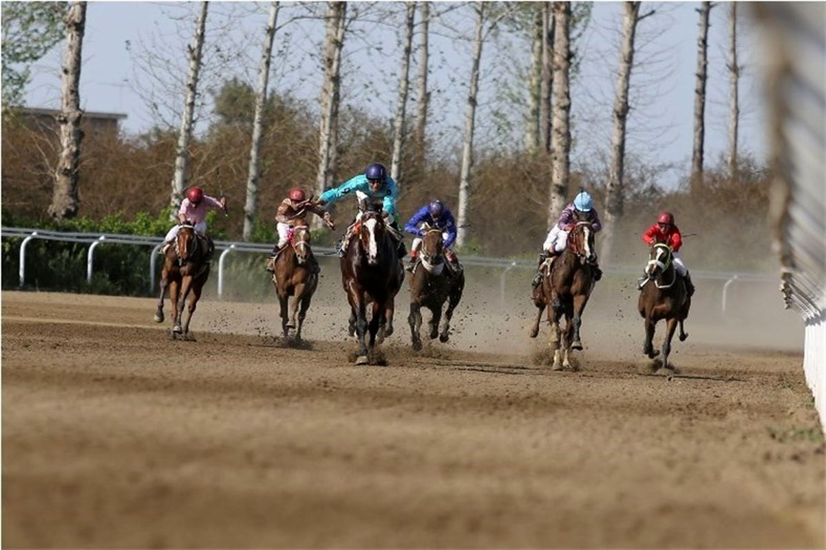 هفته سوم مسابقات اسبدوانی تابستانه